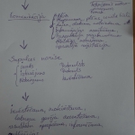 KM_07875